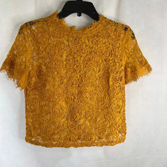 Zara NWT Golden Mustard Sheer Lace Embroidered Short Sleeve Crop Top Sz Small - Picture 10 of 10